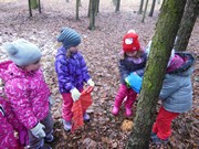 Výprava do lesa, krmení zvířátek